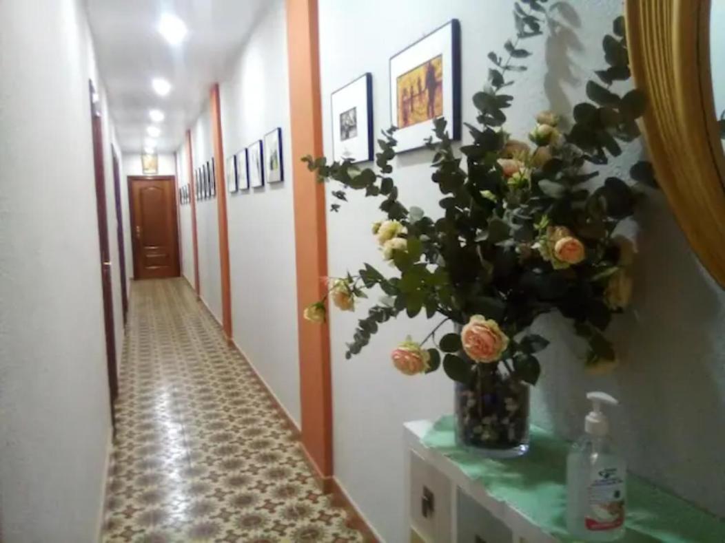 Las Golondrinas Zaragoza Habitacion Individual 外观 照片